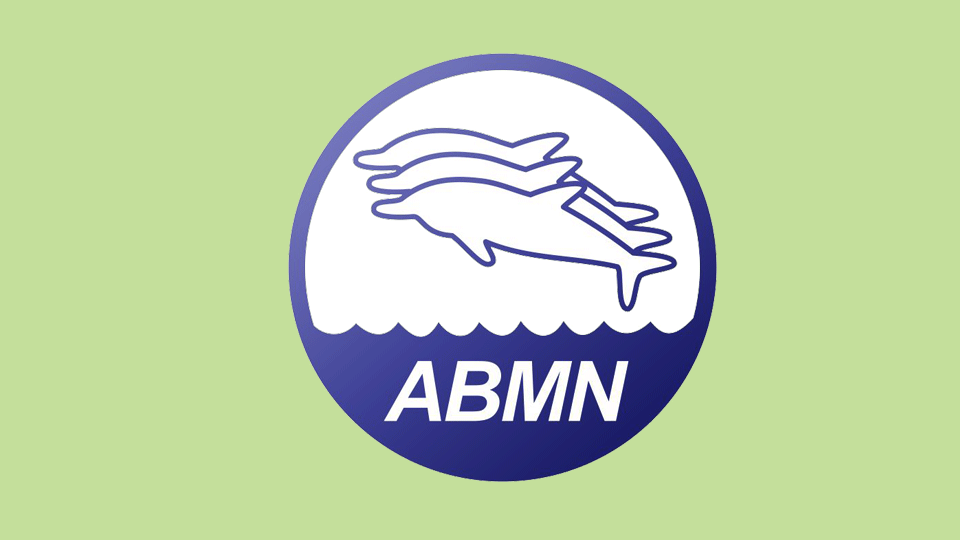 chamada-cores-abmn-verde