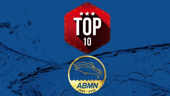 top10-2019-abmn