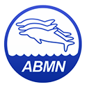 Brazilian Masters Swimming Association