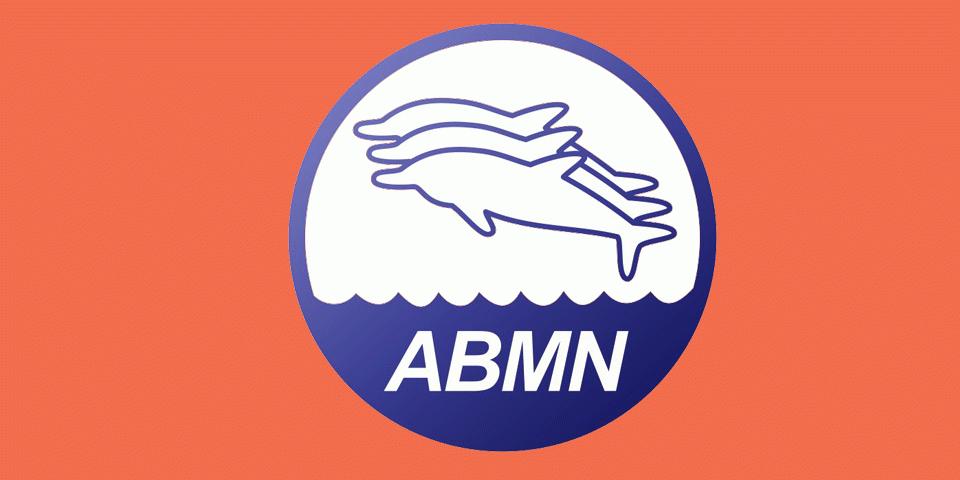 chamada-cores-abmn-laranja