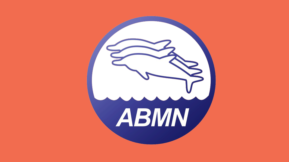 chamada-cores-abmn-laranja