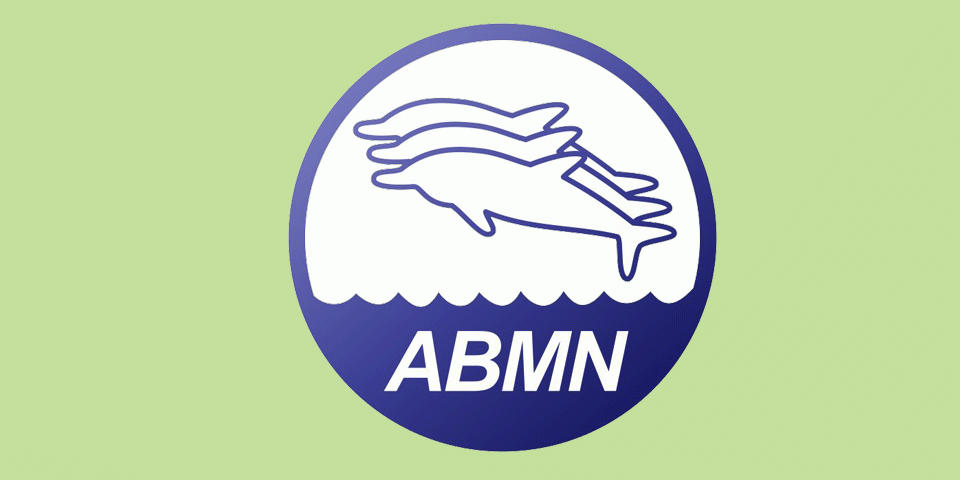 chamada-cores-abmn-verde