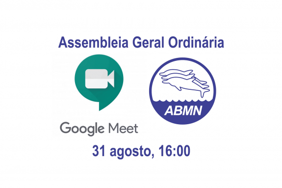 chamada-google-meet