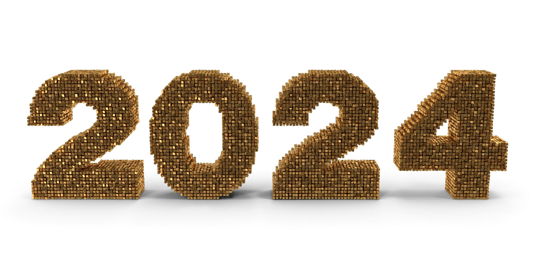 Voxels2024.H01.2k